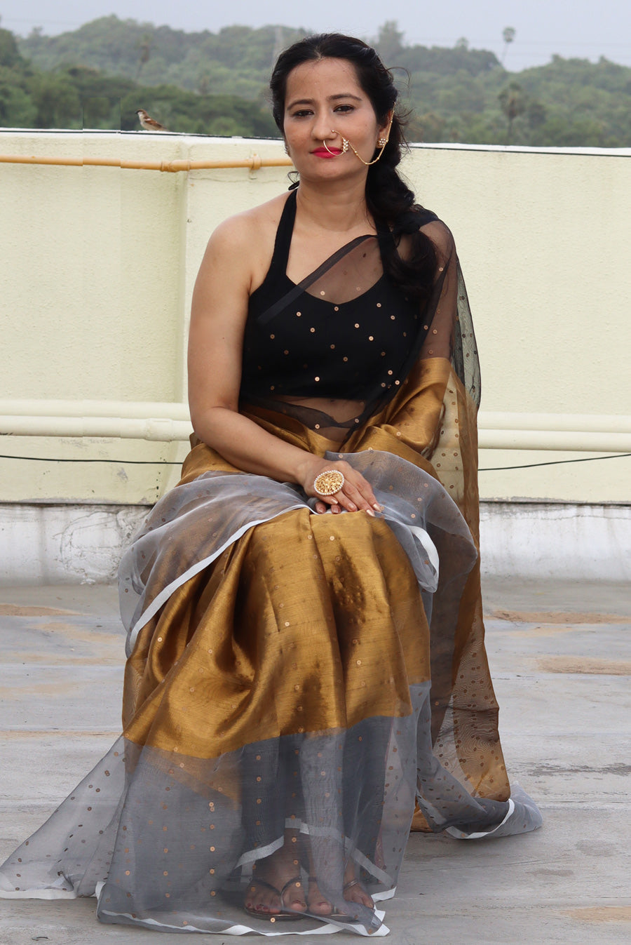 Muslin Silk Sequin Saree Taara Mandal (SAREE)