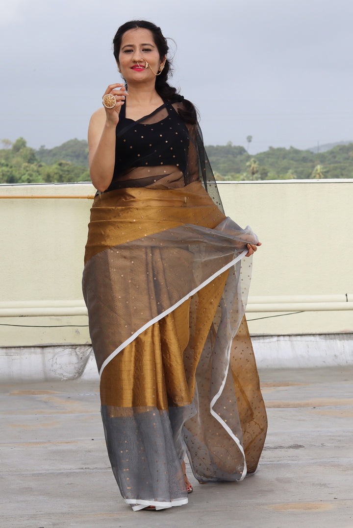 Muslin Silk Sequin Saree Taara Mandal (SAREE)