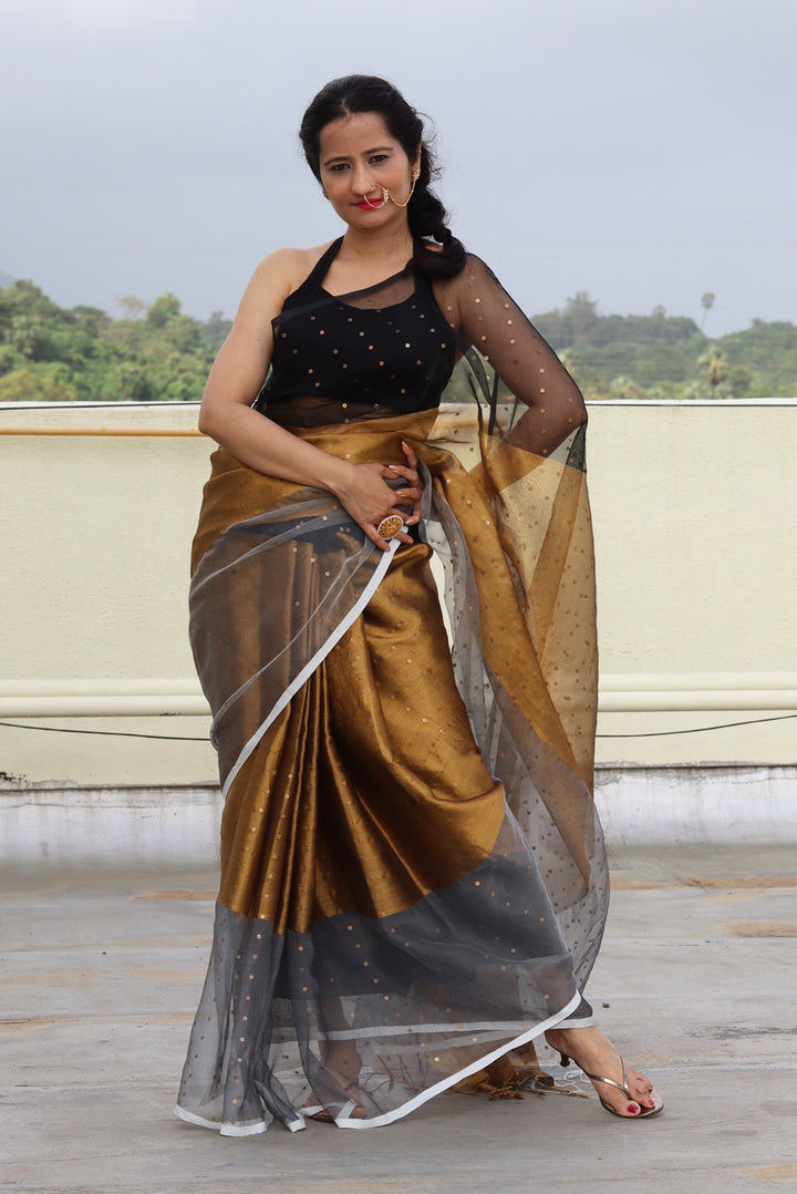 Muslin Silk Sequin Saree Taara Mandal (SAREE)