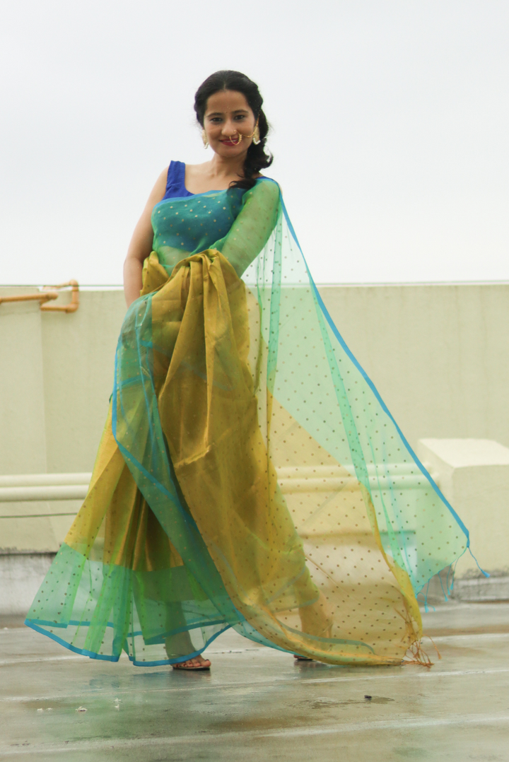 Muslin Silk Sequin Saree Dhoom Ketu (SAREE)