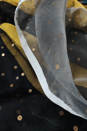 Muslin Silk Sequin Saree Taara Mandal (SAREE)