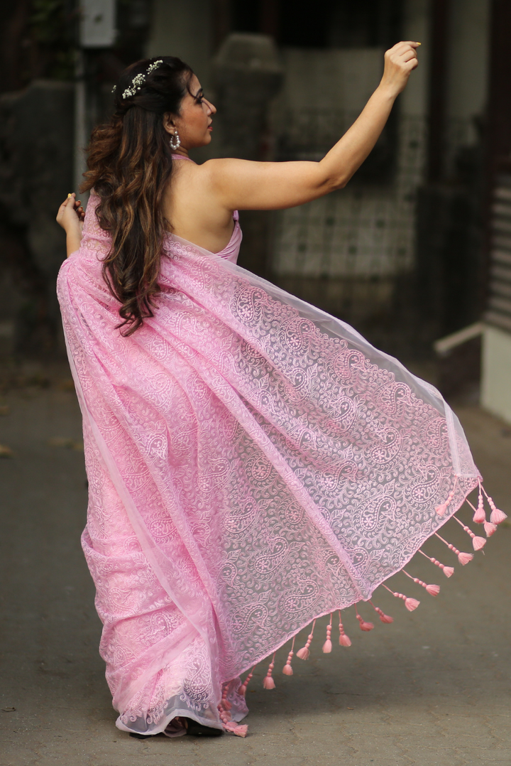 Fully Embroidered Net Saree Princess and her Elves (SAREE)