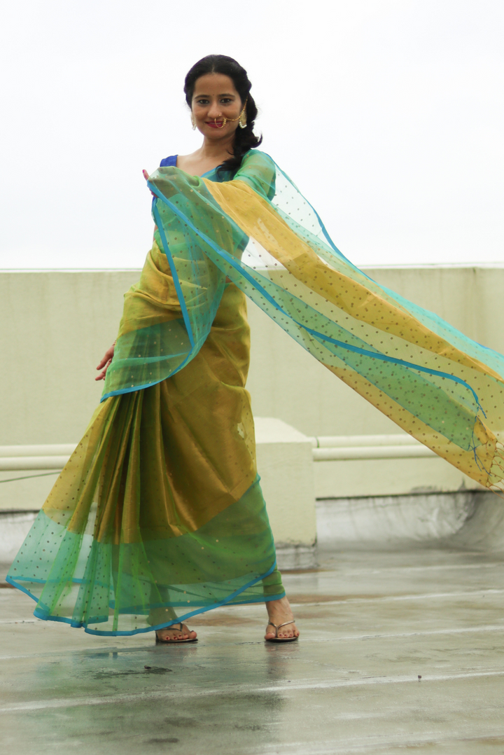 Muslin Silk Sequin Saree Dhoom Ketu (SAREE)