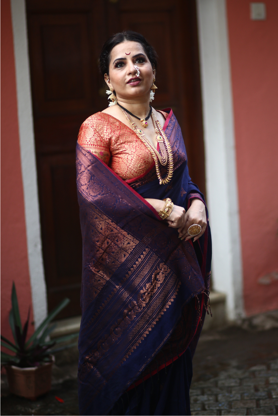 Banarasi Cotton Saree Tanaya (SAREE)