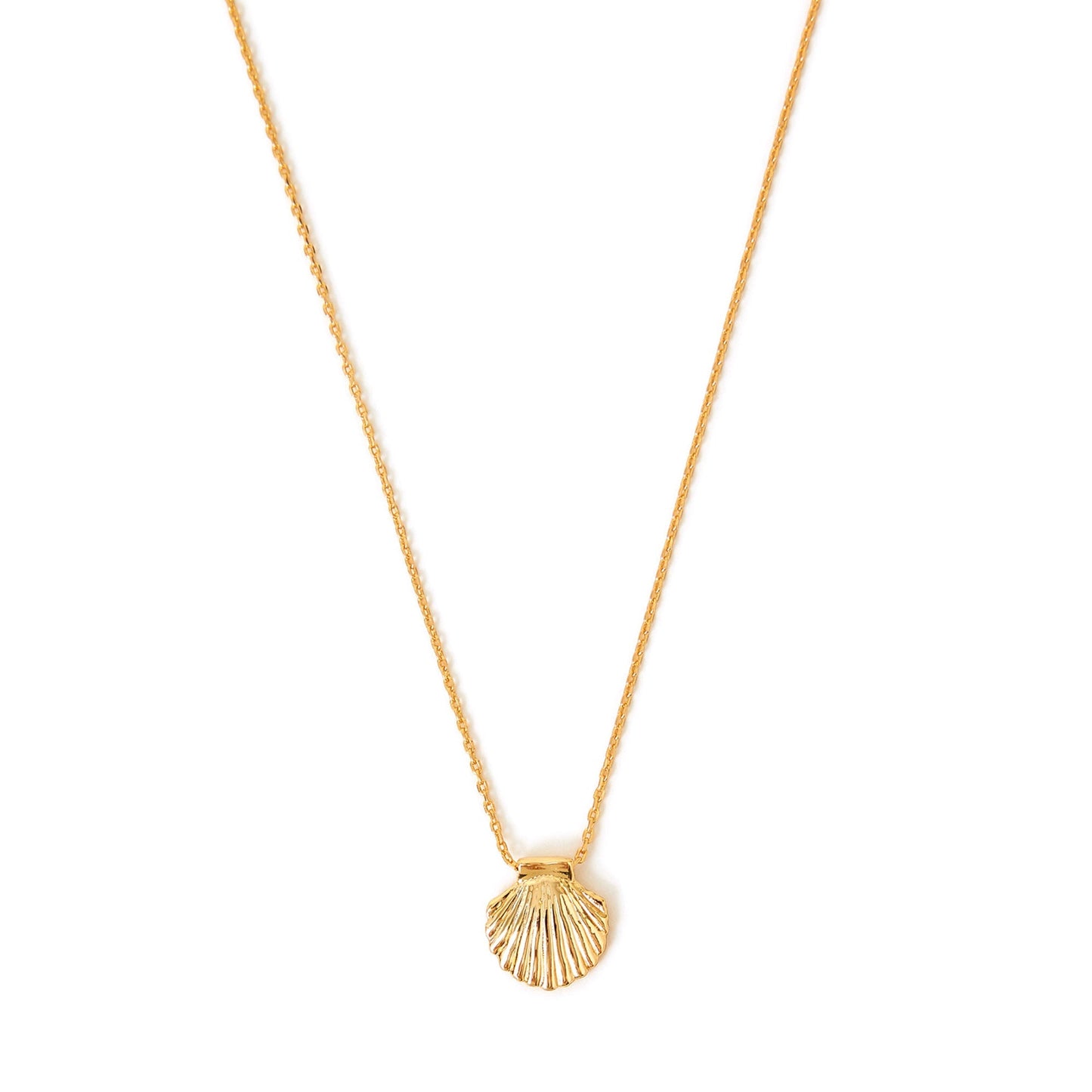 Real Gold Plated Shell Necklace