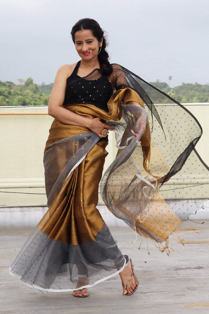Muslin Silk Sequin Saree  Taara Mandal (SAREE)