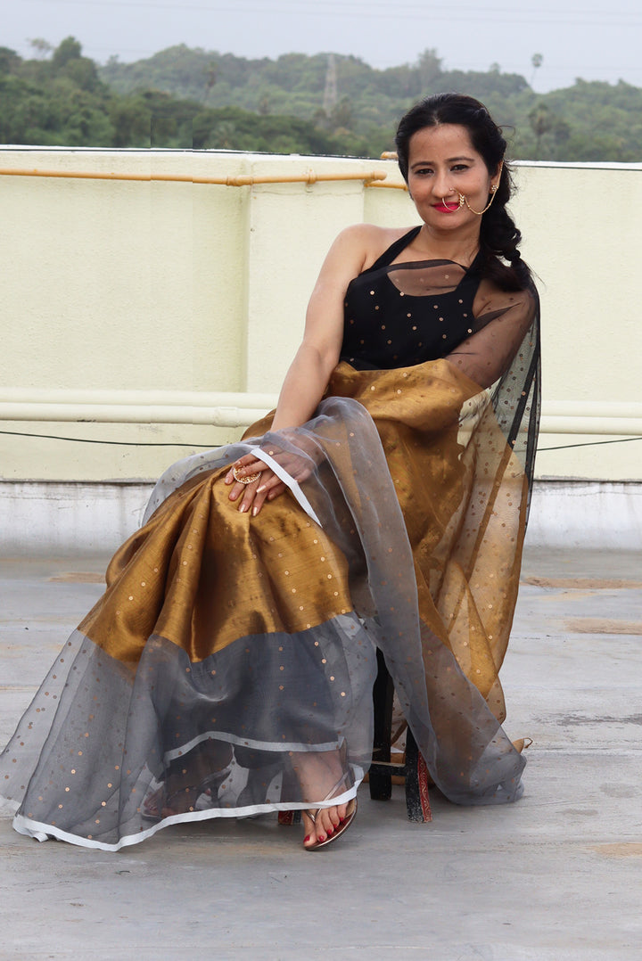 Muslin Silk Sequin Saree  Taara Mandal (SAREE)