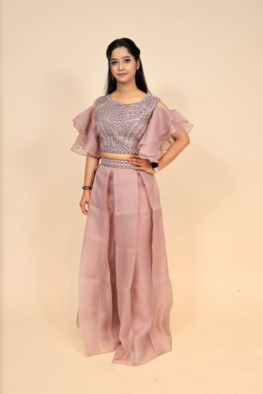 Mauve Organza Dress With Beautiful Mirror Work