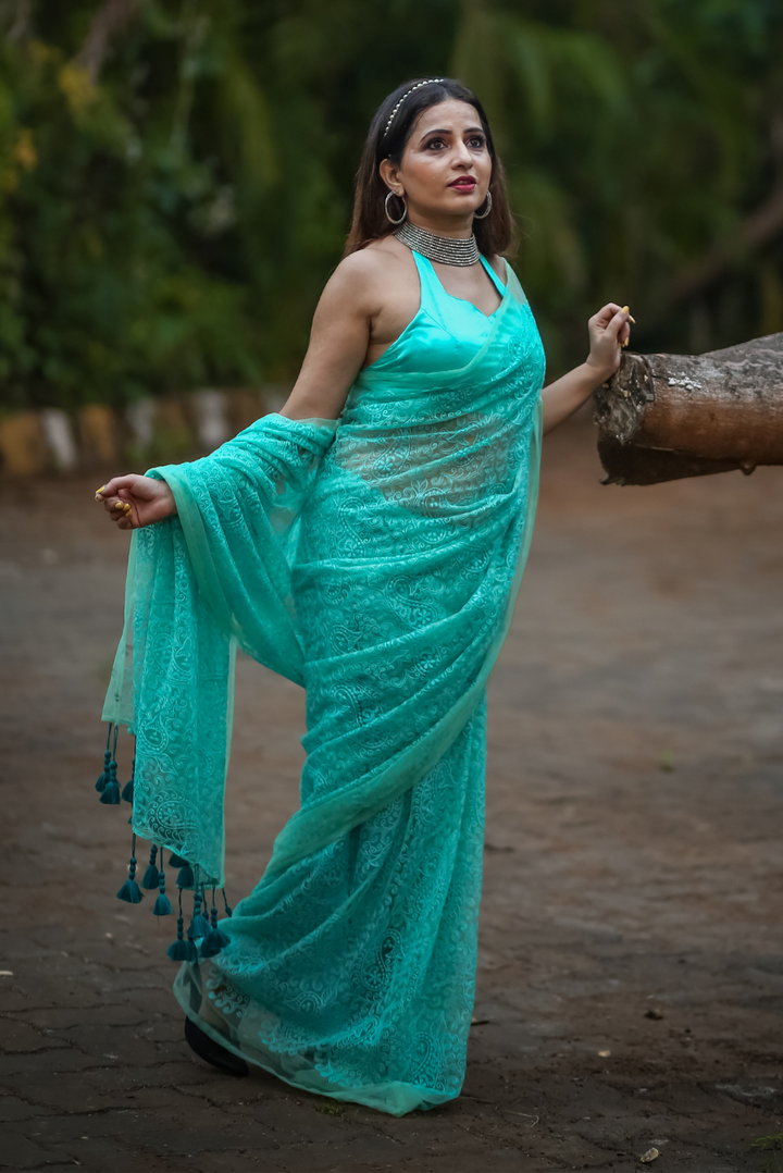 Fully Embroidered Net Saree  The Fish-like Sea Princess (SAREE)
