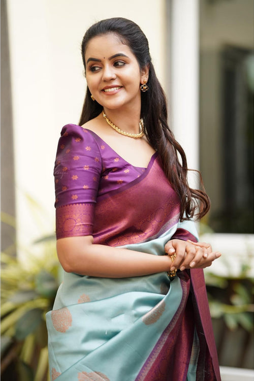 Magnetic Sky Soft Silk Saree With Felicitous Blouse Piece